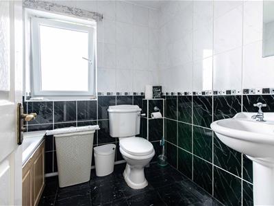 Picture 16